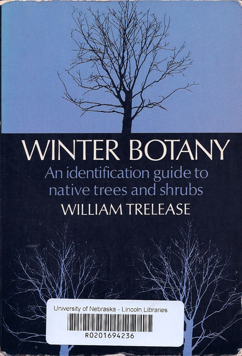 winter botany scan