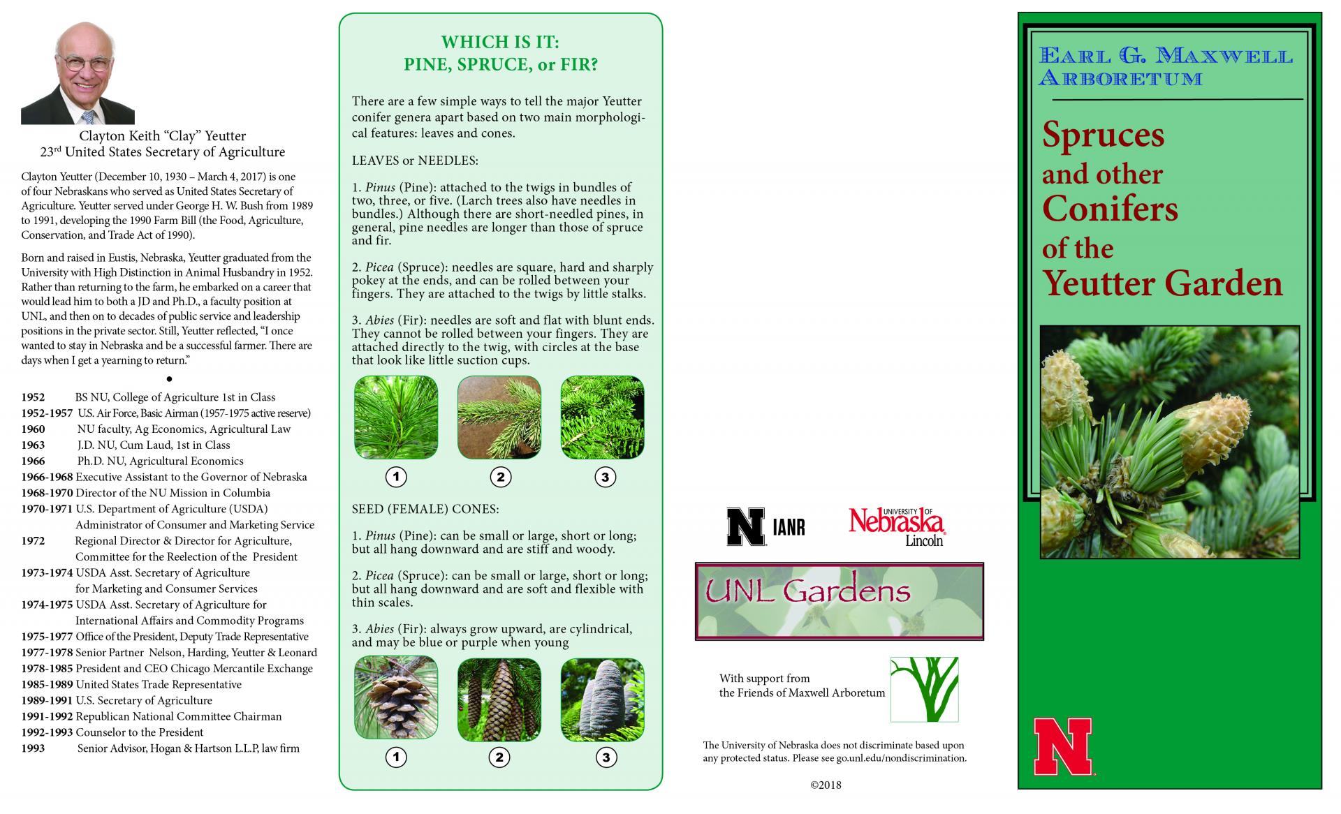 Yeutter Conifer brochure page 1