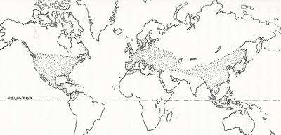 worldwide distribution of oaks