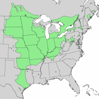 Quercus macrocarpa range map