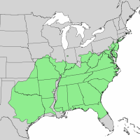 Quercus stellata range map