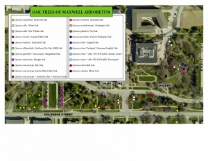 Oaks of Maxwell Arboretum map