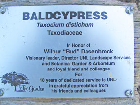 Taxodium label