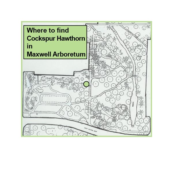 Hawthorn map