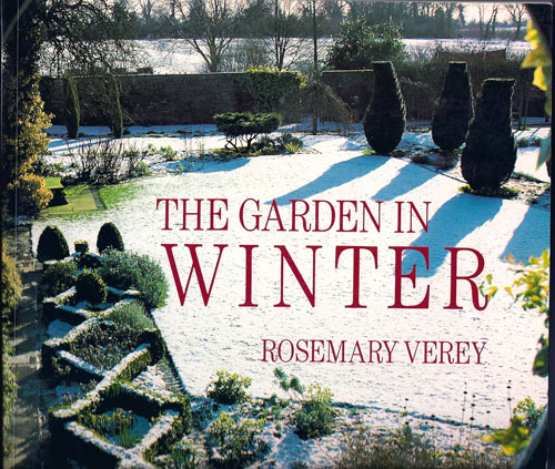 garden in winter scan