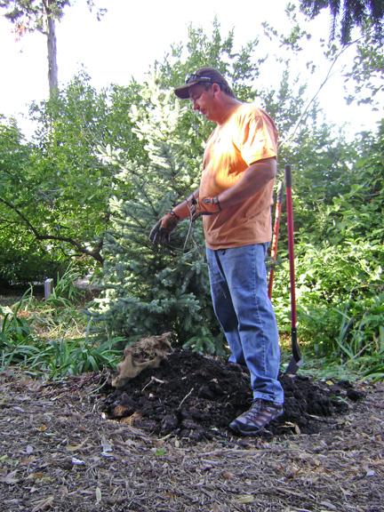 Jeff planting 2