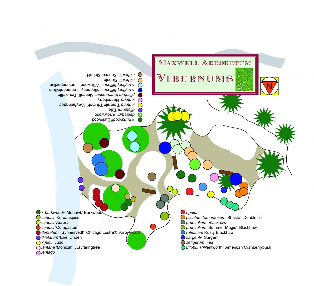 Viburnum collection map